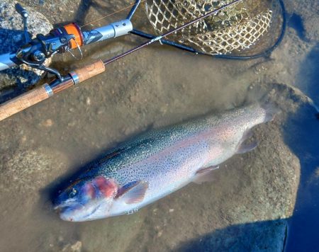難しすぎるぞ！天竜川ルアーフライ専用区